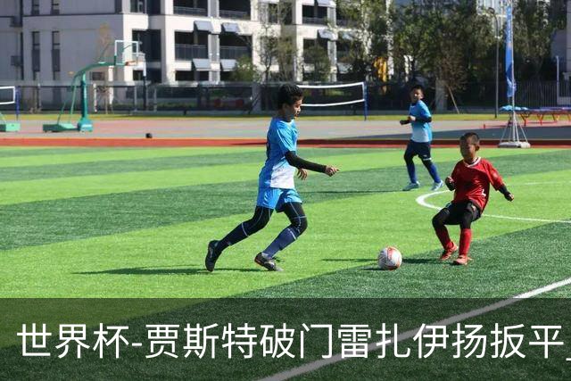 世界杯-贾斯特破门雷扎伊扬扳平 半场伊朗1-1新西兰
